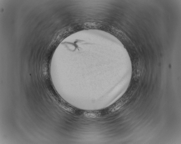 X0000066960706200604211841