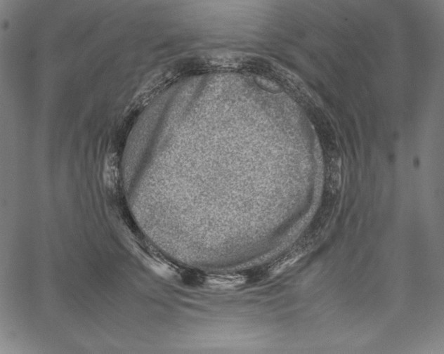 X0000066960707200604211841