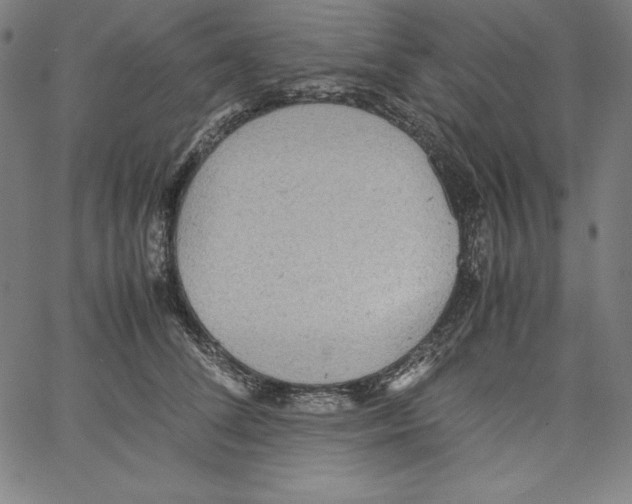 X0000066960708200604211841