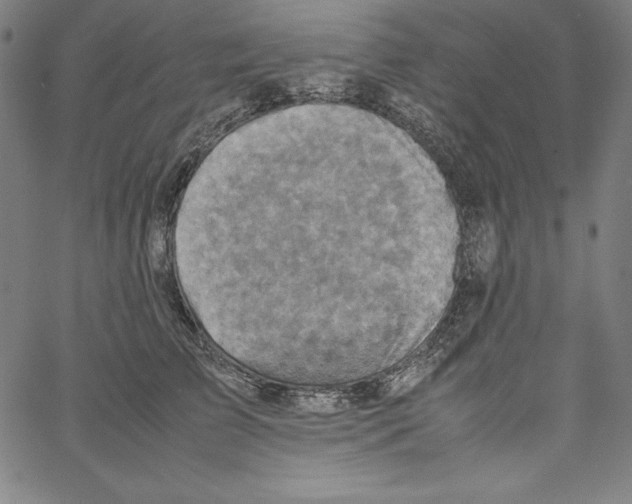 X0000066960709200604211841