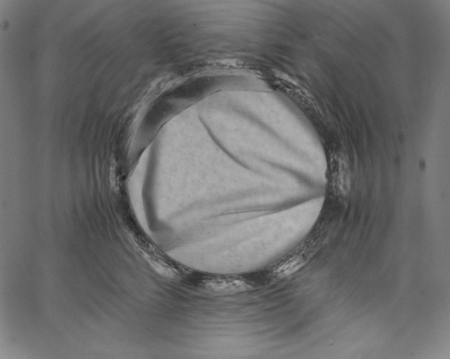 X0000066960712200604211841