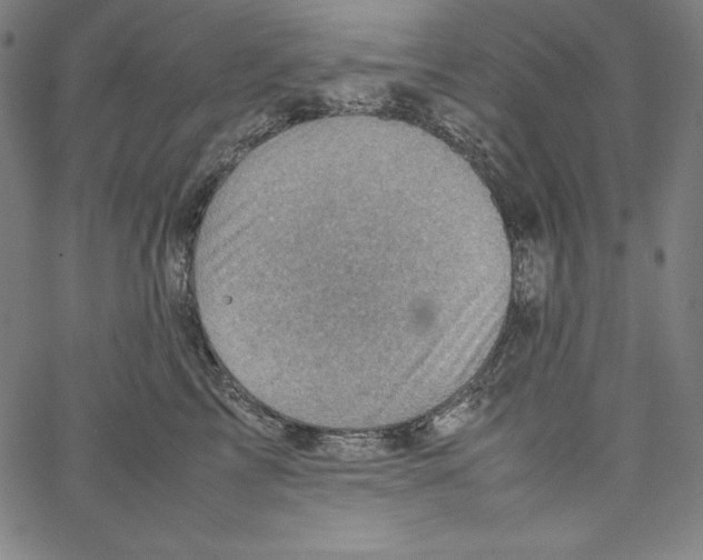 X0000066960713200604211841