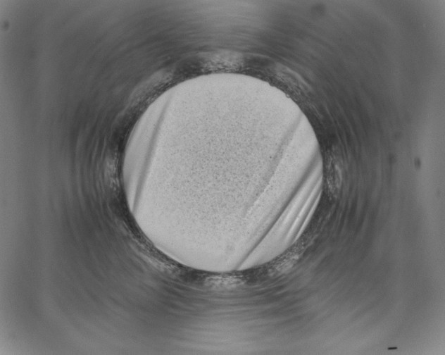 X0000066960714200604211841