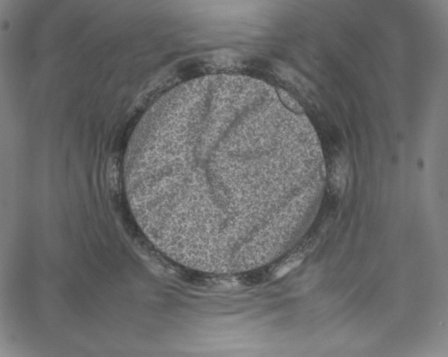 X0000066960715200604211841