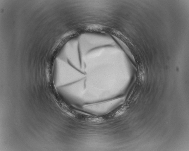 X0000066960716200604211841