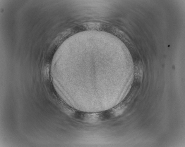 X0000066960717200604211841