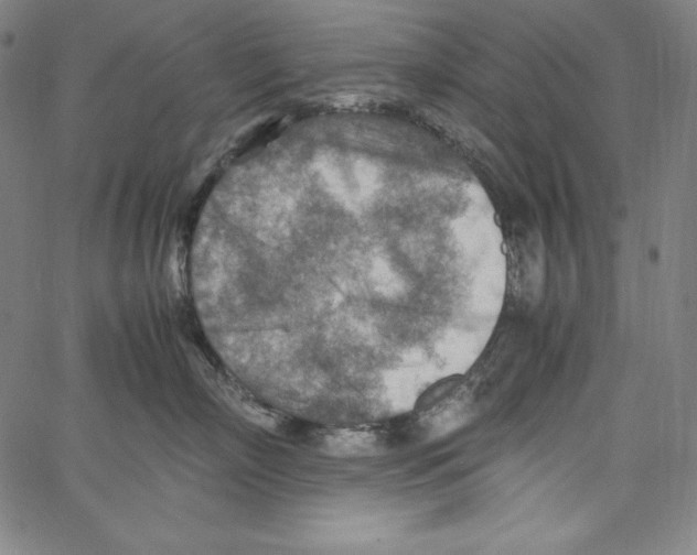 X0000066960718200604211841