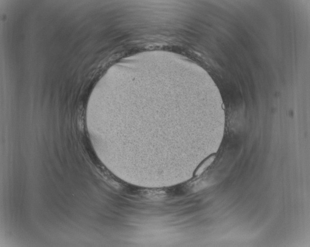 X0000066960719200604211841