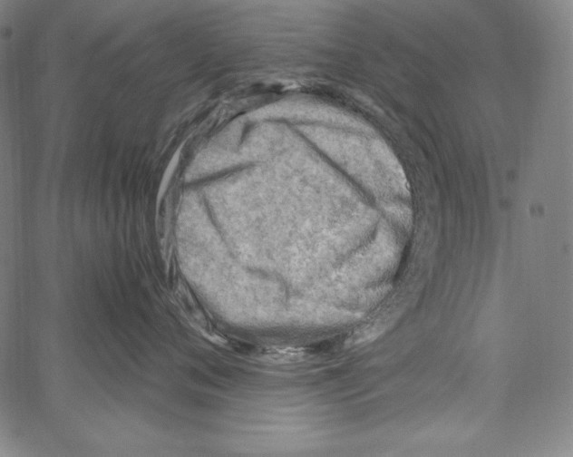 X0000066960720200604211841