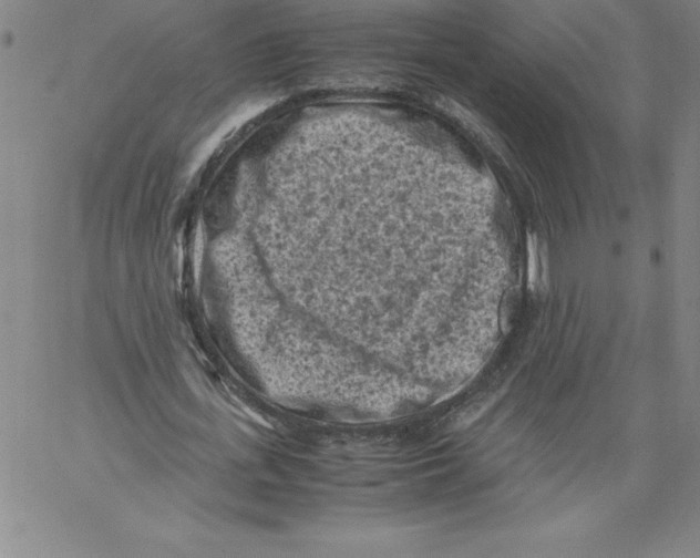 X0000066960723200604211840