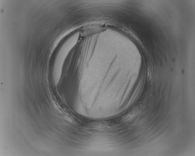 X0000066960724200604211840