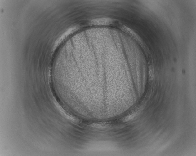 X0000066960725200604211840