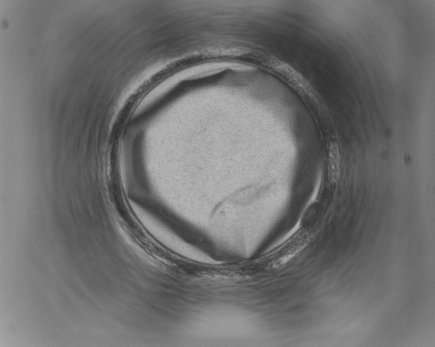 X0000066960726200604211840