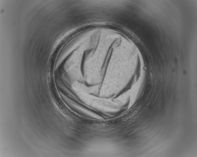 X0000066960728200604211840