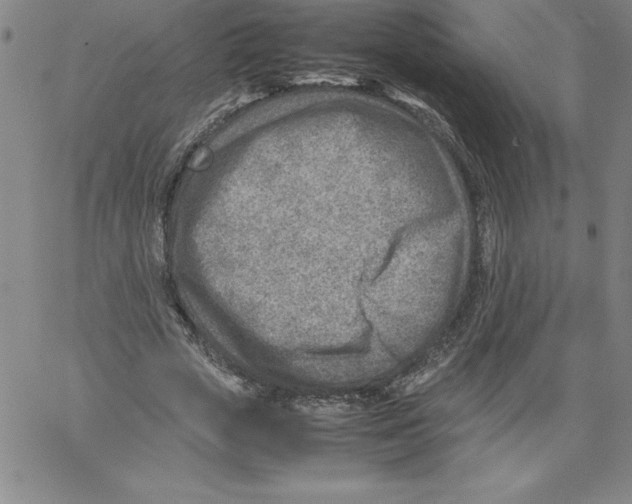 X0000066960729200604211840