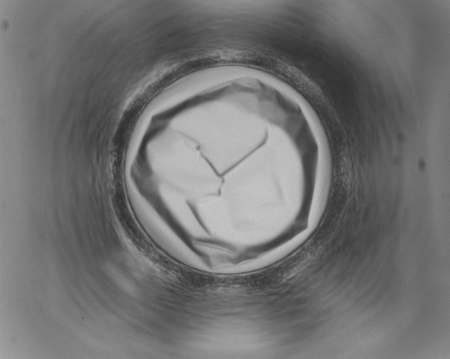 X0000066960730200604211840