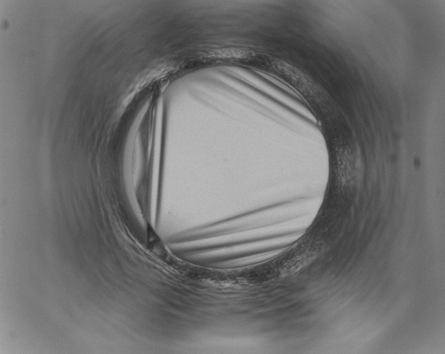 X0000066960731200604211841