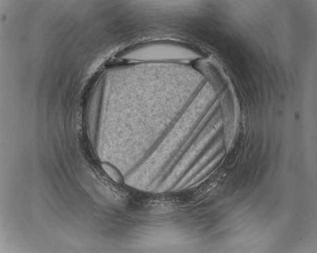 X0000066960732200604211841