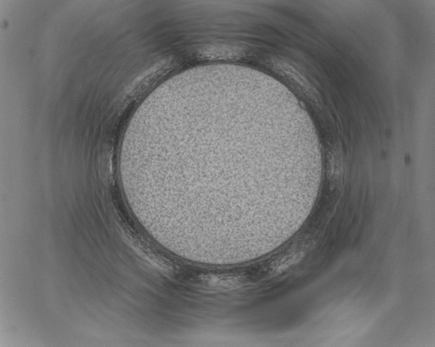 X0000066960733200604211841