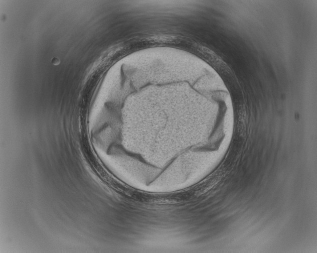 X0000066960734200604211841