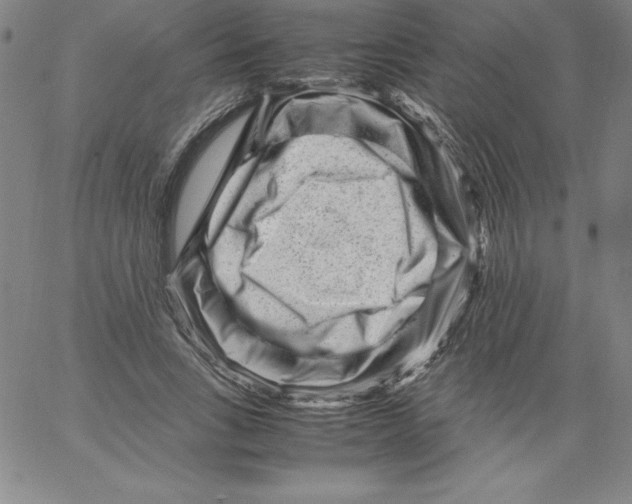 X0000066960735200604211841