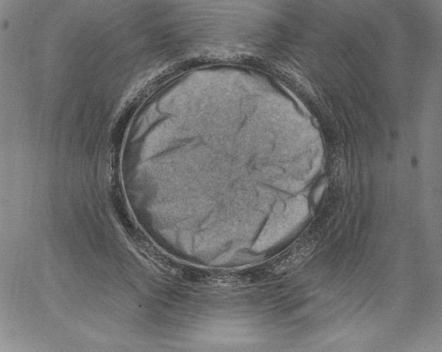 X0000066960736200604211841