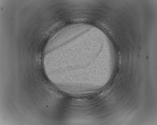 X0000066960737200604211841