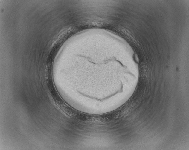 X0000066960738200604211841