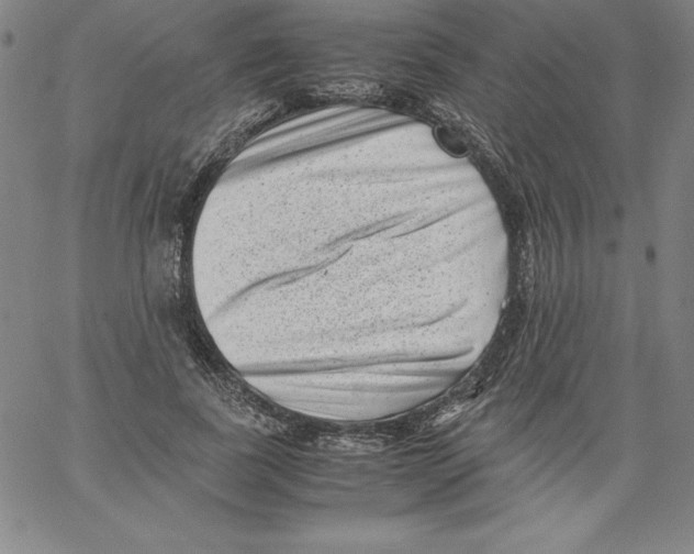 X0000066960739200604211841