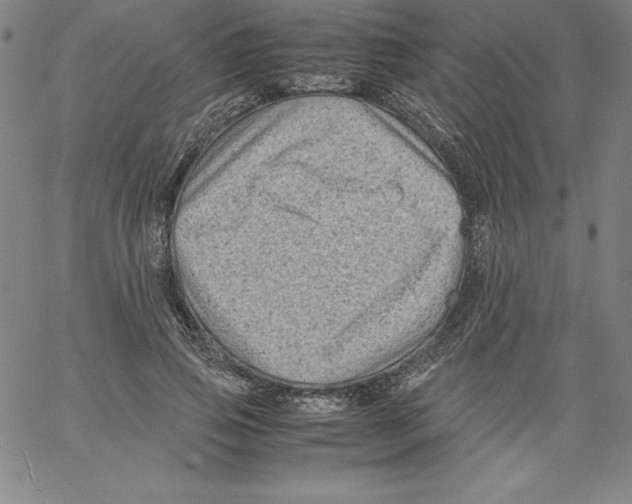 X0000066960741200604211841