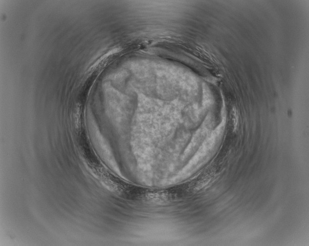 X0000066960744200604211841