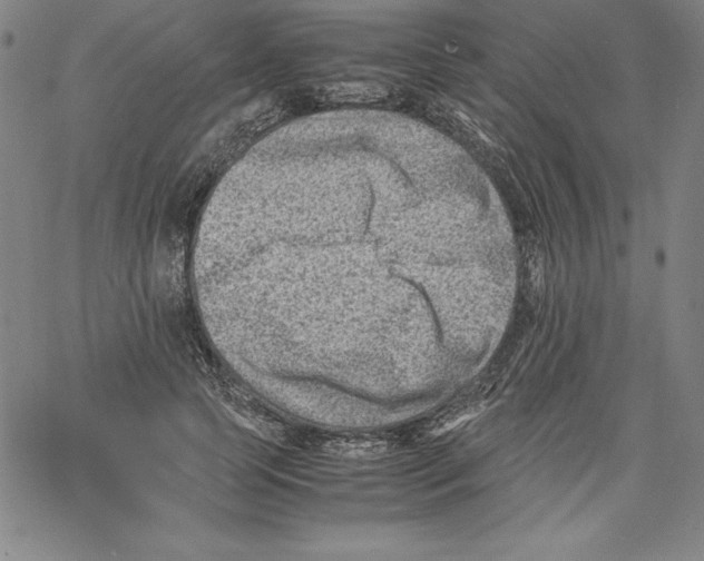 X0000066960745200604211841