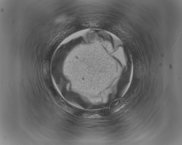 X0000066960747200604211841