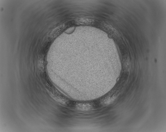 X0000066960749200604211841