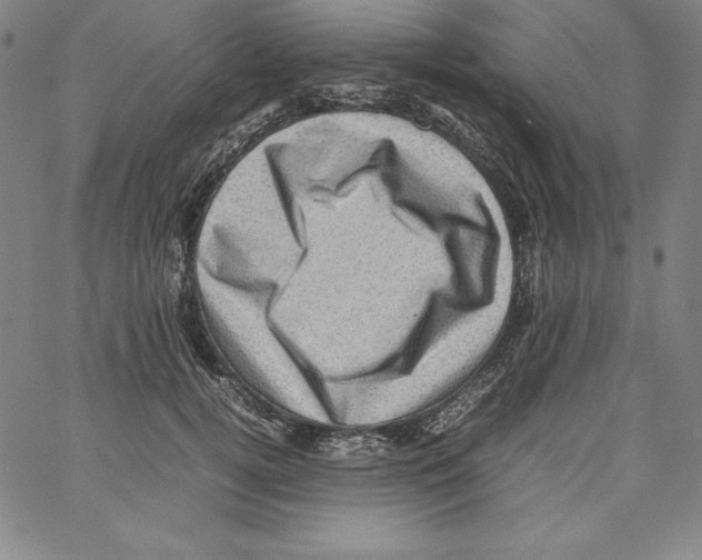 X0000066960752200604211841