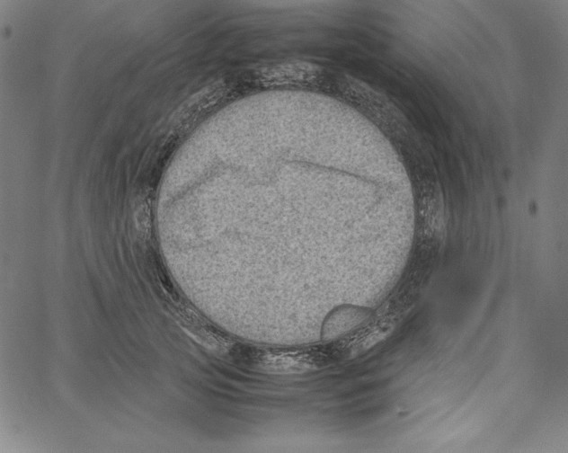 X0000066960753200604211841