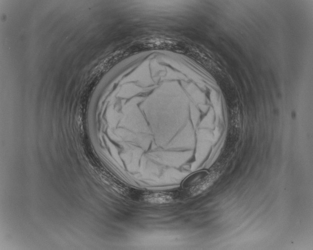 X0000066960754200604211841