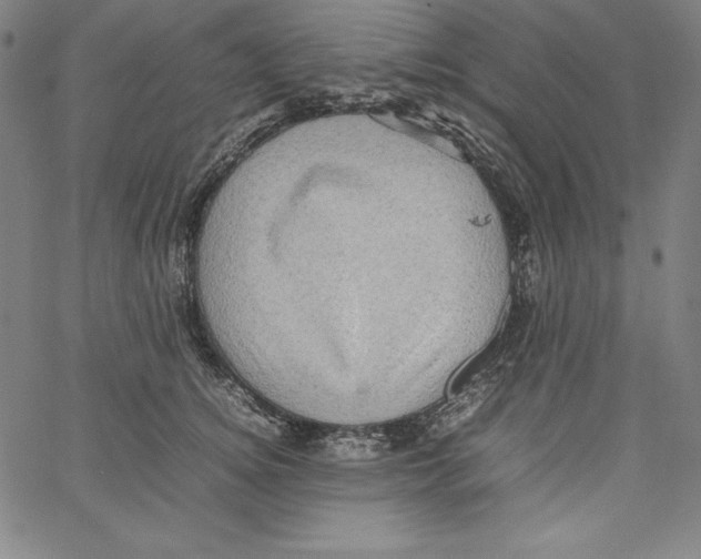 X0000066960756200604211841