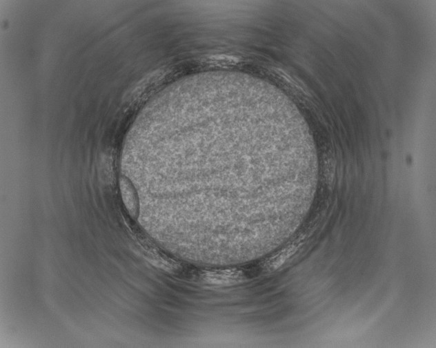 X0000066960757200604211841