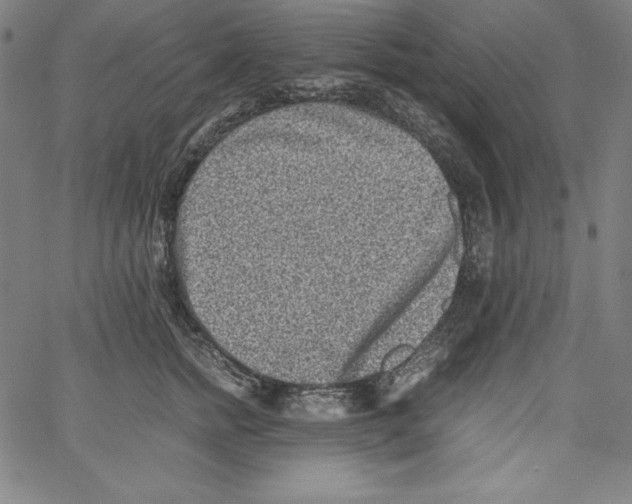 X0000066960758200604211841