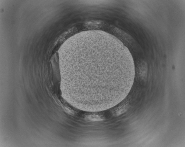 X0000066960759200604211841