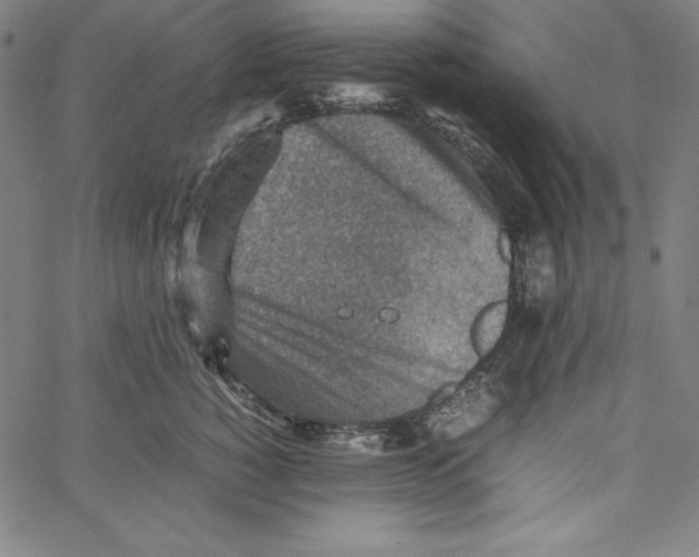 X0000066960760200604211841