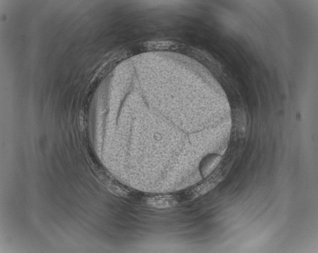 X0000066960761200604211841