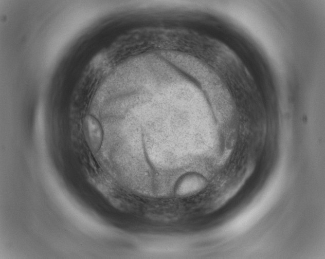 X0000066960765200604211841