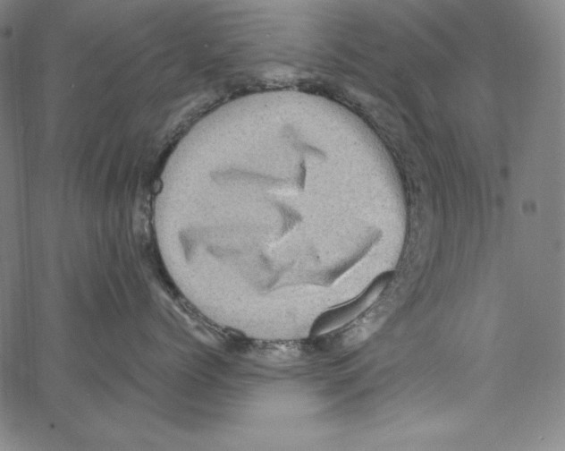 X0000066960768200604211841