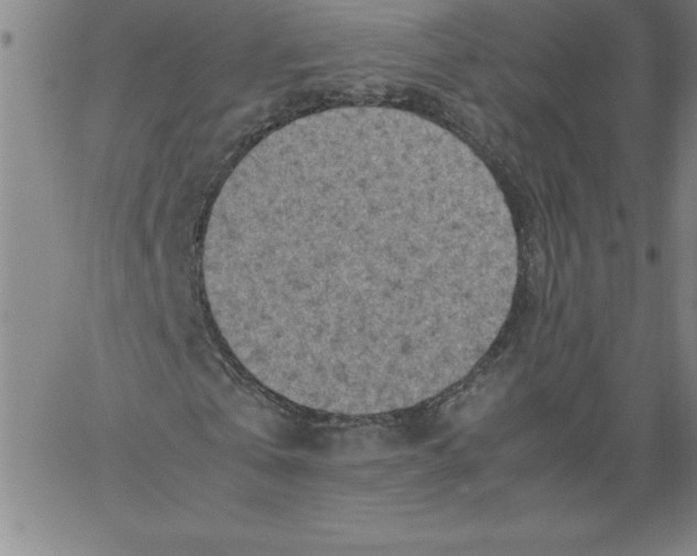 X0000066960769200604211840