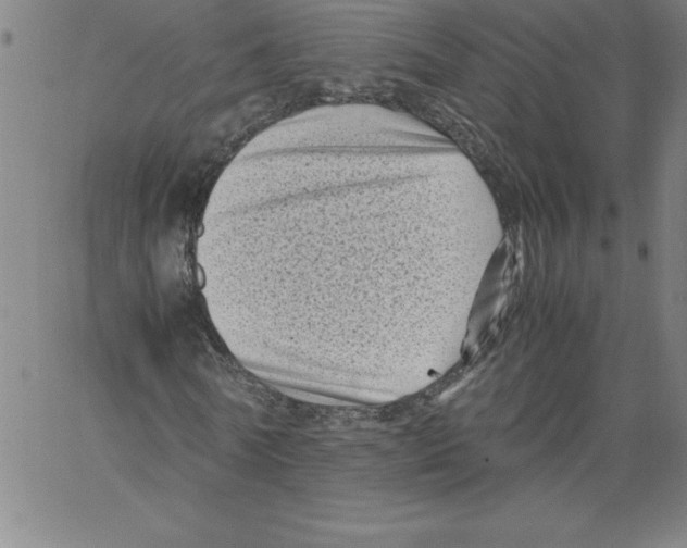 X0000066960770200604211840