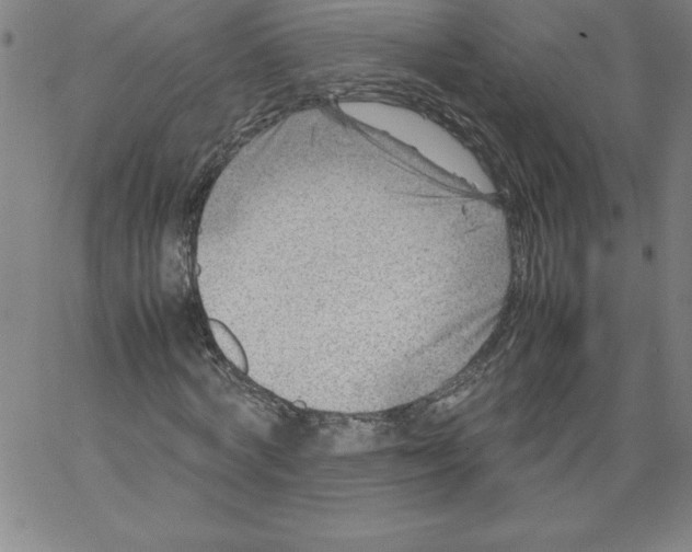 X0000066960772200604211840