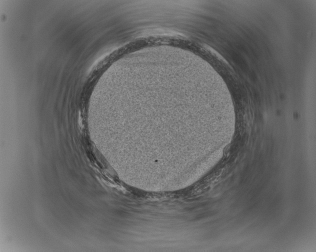 X0000066960775200604211840