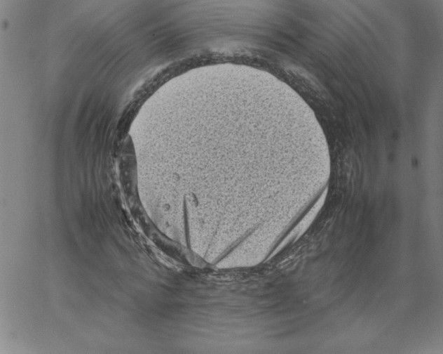 X0000066960776200604211840